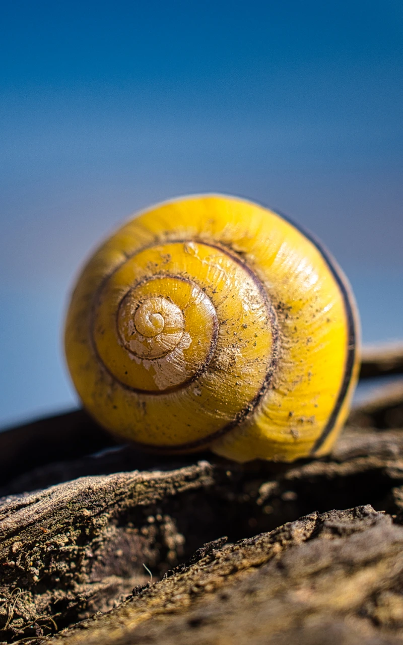 AI가 B2B SEO를 재정의합니다: 검색 가시성을 위한 새로운 전략 플레이북