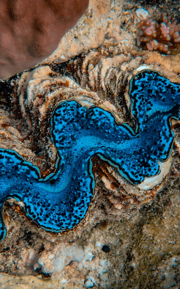 이메일 마케팅에서 AI 활용 가이드