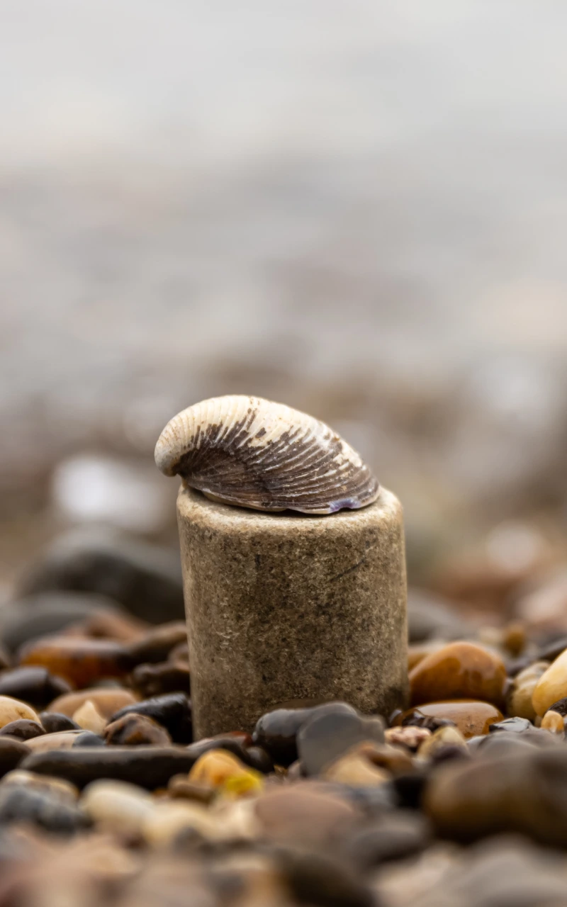 생성형 엔진 최적화(GEO): AI가 콘텐츠를 선택하도록