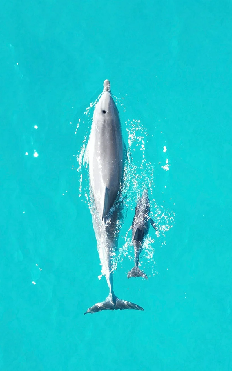 당신의 B2B 유기적 소셜 전략이 이제 AI 전략으로 전환되었습니다