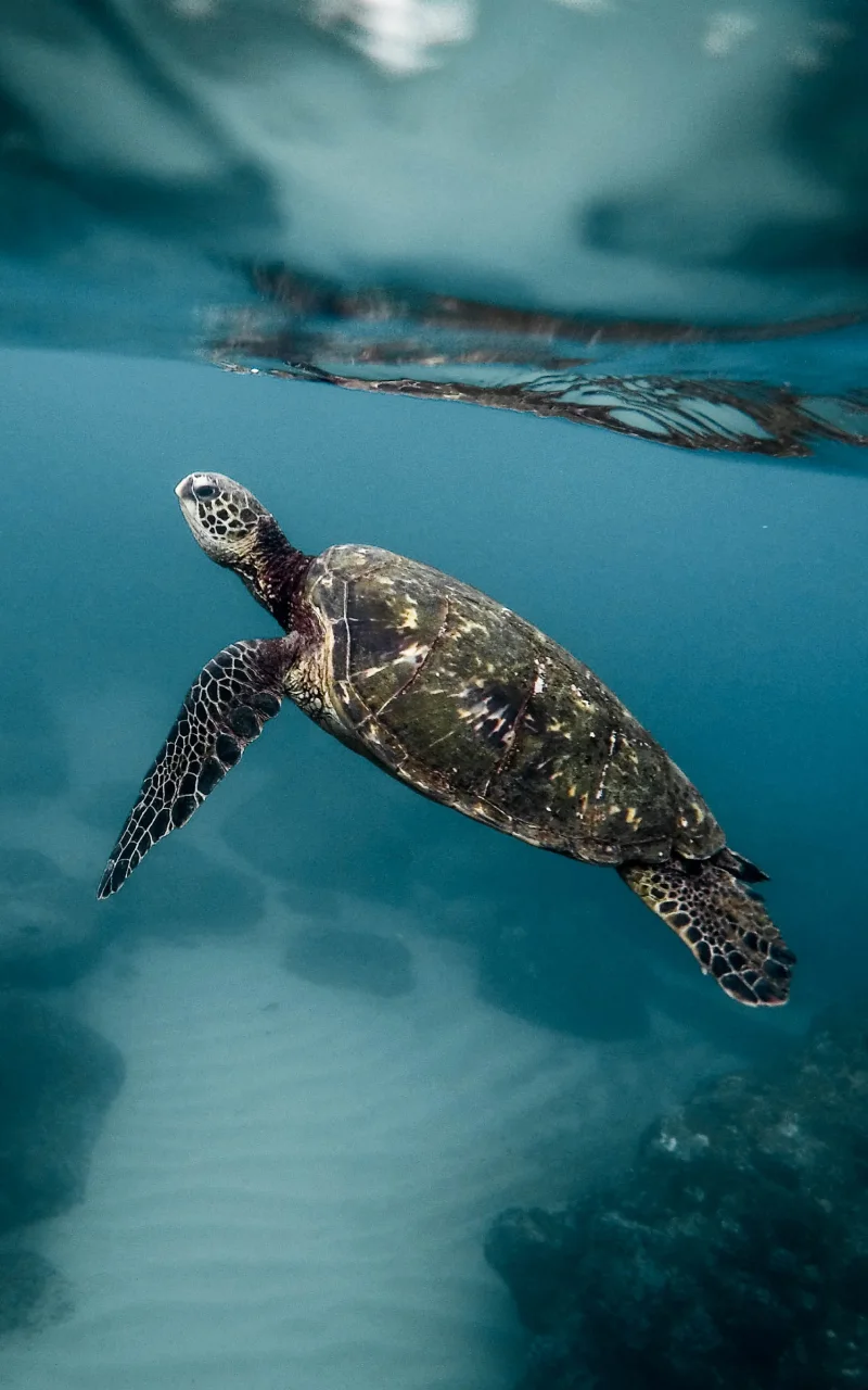 B2B 마케팅 in 2026: 실제로 바뀌는 것과 그렇지 않은 것